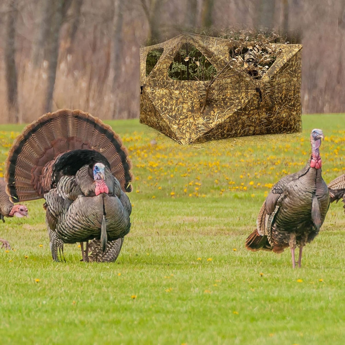 Hunting Blind, 360 See Through Ground Blind, 2-3 Person Pop Up Blind, Portable Durable Hunting Ground Blinds for Deer & Turkey Hunting