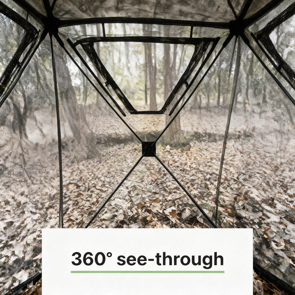 360 view